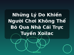 Những Lý Do Khiến Người Chơi Không Thể Bỏ Qua Nhà Cái Trực Tuyến Xoilac - xoilac