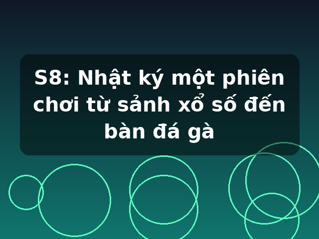 S8: Nhật ký một phiên chơi từ sảnh xổ số đến bàn đá gà S8: Nhật ký một phiên chơi từ sảnh xổ số đến bàn đá gà
